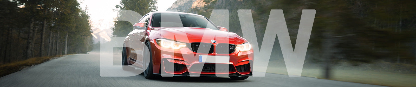 Car Mounts For BMW