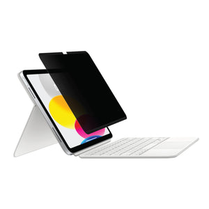 Magnetic DMF Privacy Film For iPad 10.9-inch