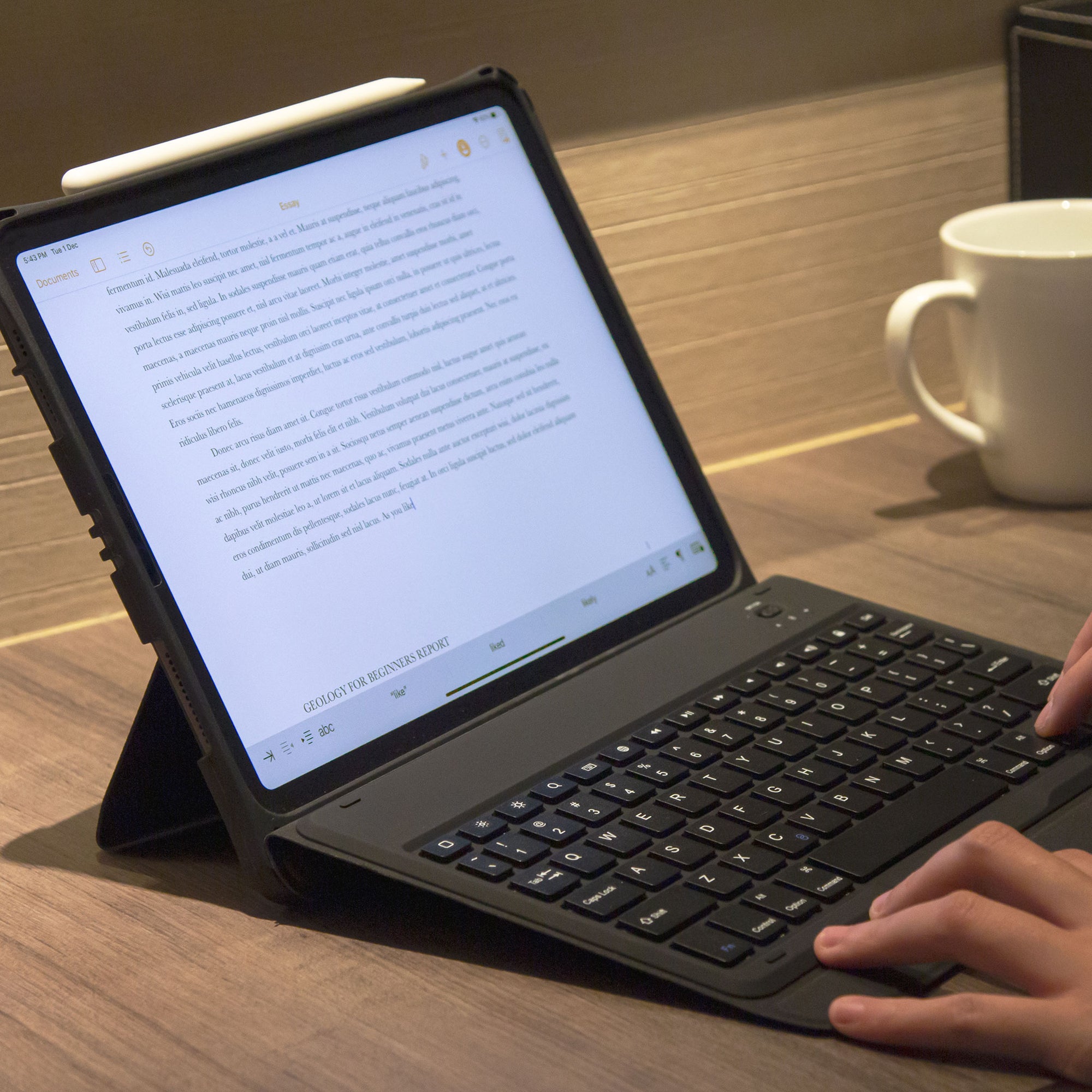 CAPDASE iPad universal portable bluetooth keyboard
