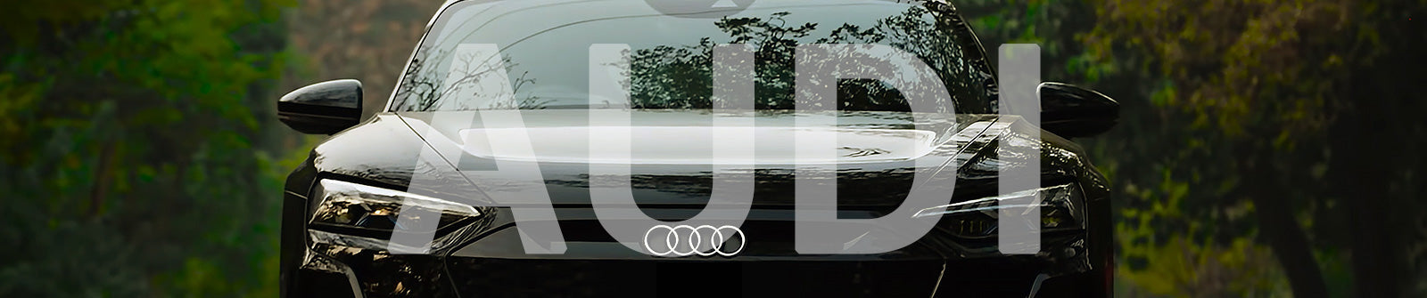 Capdase Premium car Mounts for Audi