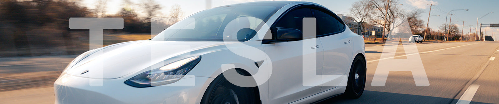 Capdase Premium car mounts for Tesla